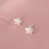 Elegant Frosted Star Screw Stud Earrings for Women - Sweet, Fashionable, Versatile, High-End Design