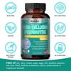 100 Billion Probiotics Prebiotics Digestive Enzymes 550mg 120 Capsules 120 Count