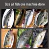 Wireless Electric Fish Scaler