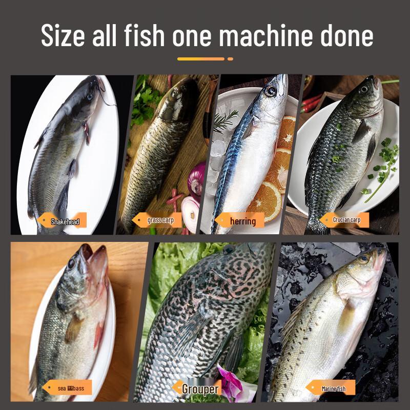 Wireless Electric Fish Scaler