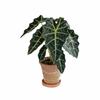 Rotatable Artificial Plant Fridge Stickers Magnets Waterproof Mini Plant Fridge Magnet  Kitchen