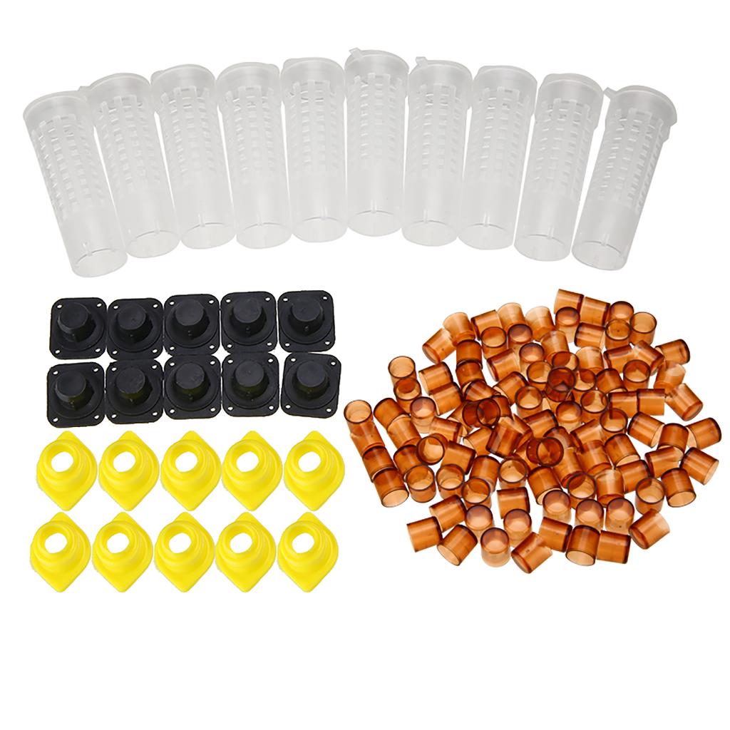 100 Cell Cups Komplette Königin Aufzucht System Bee Bienenzucht Catcher Box