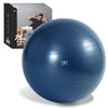 Listed ALINCO Balance 75cm with Air Pump and Exercise for Muscle Shaping and Balance Home WBF075 Navy [Prime Company] Ball, Diameter, Chair/Stool,