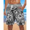 Men's Beach Shorts Summer Surfing Shorts Cat Pattern Casual Sports Shorts Men's Beach Shorts