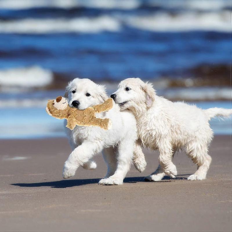 Plush Dog Teddy Bear, Plush Dog Squeak, Puppy & Small Dog Stuffed Dog Toys (Light Brown)