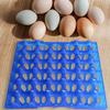 3 Egg Tray Storage Container Stackable Holder Used for Transporting or Storing Eggs