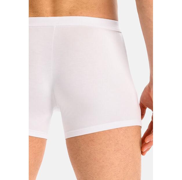 Боксеры Teyli Levi