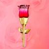 Rose Pheromone Perfume Women Long-Lasting Floral Scent Body Spray Elegant Charming Body Spray Dating Pheromone Birthday Gift
