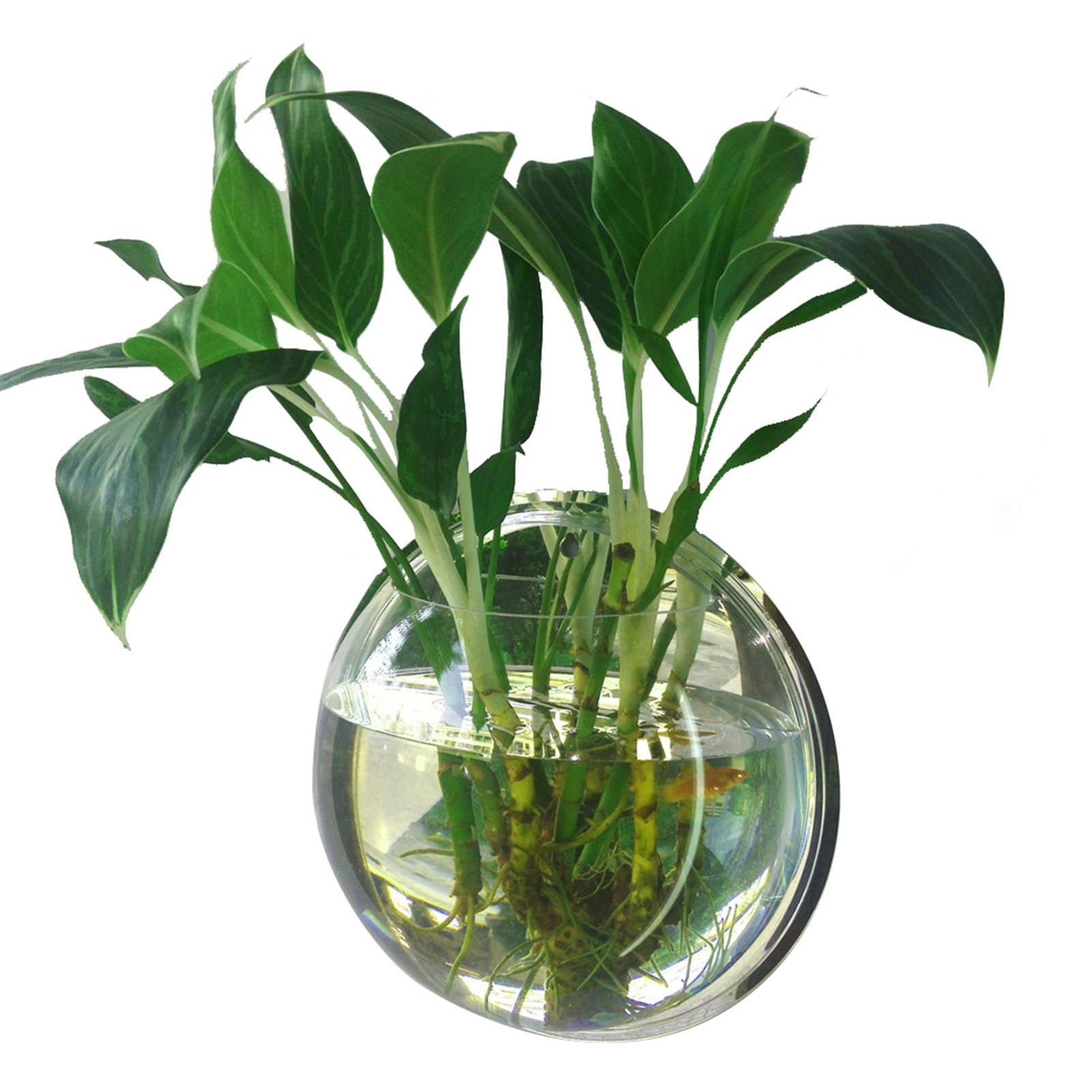 

Wall Mounted Fish Tank Vase Transparent Acrylic Material 15cm Diameter Air Flower Pot Home Living Room Bedroom Decoration фіолетовий