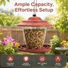 With Suspension Wire Bird Feeding Container Transparent Container Bird Seed Container  Garden Use