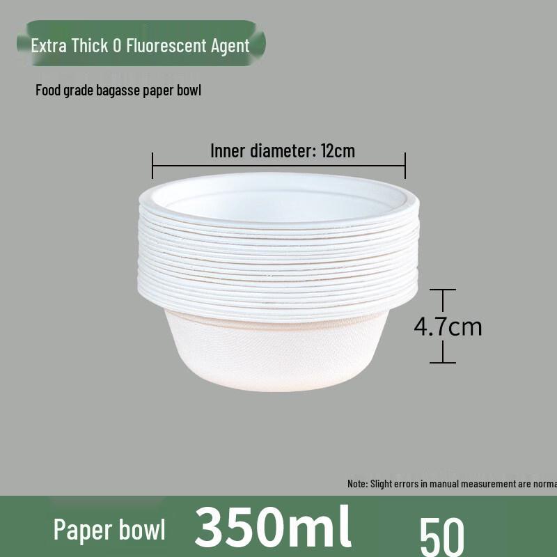 ZISIZ Disposable Dinnerware Set