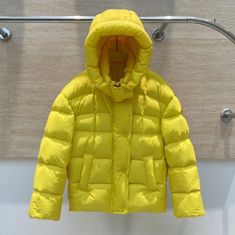 Winter New Puff Down Jacket Women's Short Thickened Hooded Small Bread Jacket Warm Jacket