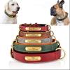 Personalisierbares Hunde-Halsband mit gravierter Beschriftung und Anti-Verlust-Lederhalsband