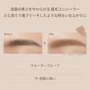 ettusais Eye Edition (Brow Concealer) Concealer Beige Eyebrow Waterproof 6g