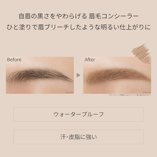 ettusais Eye Edition (Brow Concealer) Concealer Beige Eyebrow Waterproof 6g