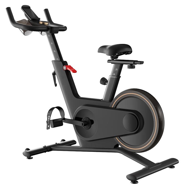 JD Zao Smart Self-Generating Spin Bike CN plug (adapter included)