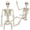 36" Halloween Posable Skeletons Full Body Plastic Human Bone Model with Movable Joints for Yard Haunted House Indoor Outdoor Decor