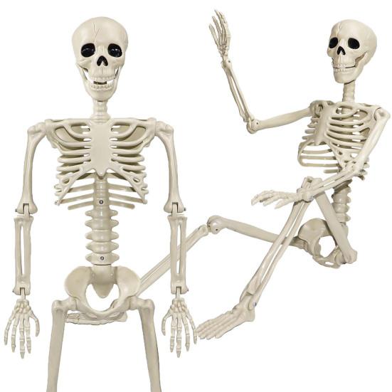 36" Halloween Posable Skeletons Full Body Plastic Human Bone Model with Movable Joints for Yard Haunted House Indoor Outdoor Decor