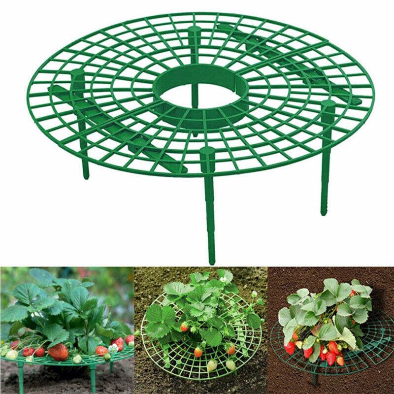 Strawberry Planter Tray Stand - Anti-Rot & Support Frame for Potted Plants