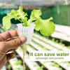 3 Inch Orchid Pot,10 Pcs Net Cup Pots with Holes and Saucers,White Net Pot Mesh Pot Net Cup Basket Hydroponic,Breathable Slotted Plastic Orchid