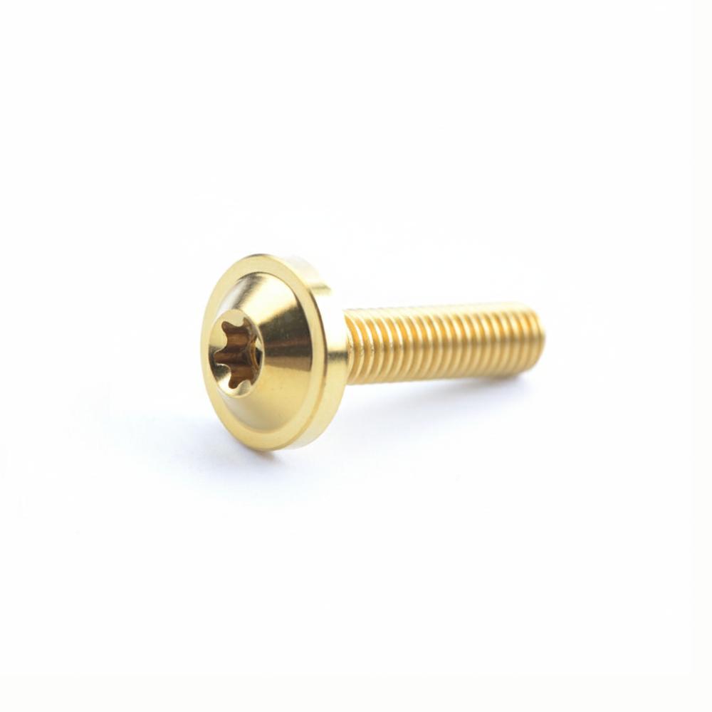 M6x15 Titanium Bolts M6x10 T30 Torx Bolts High Quality Titanium Screws