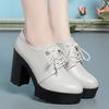 9.5cm British Style Soft Leather Chunky Platform Shoes 2025 Spring Block High Heels Shoes Women Oxfords for Office Model
