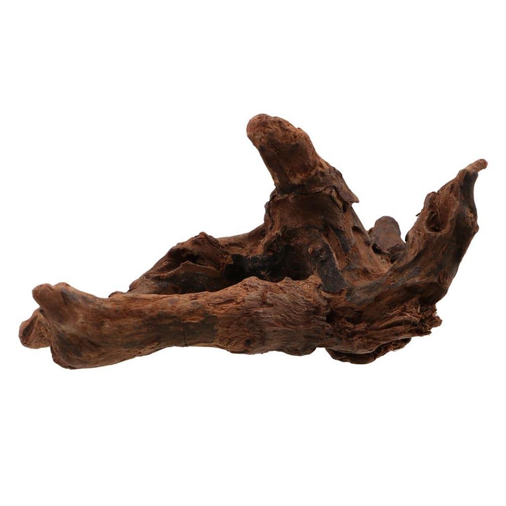 Unregelmäßige Form Korallenholz Naturholz Treibholz Stamm Aquariendekoration für Aquarium