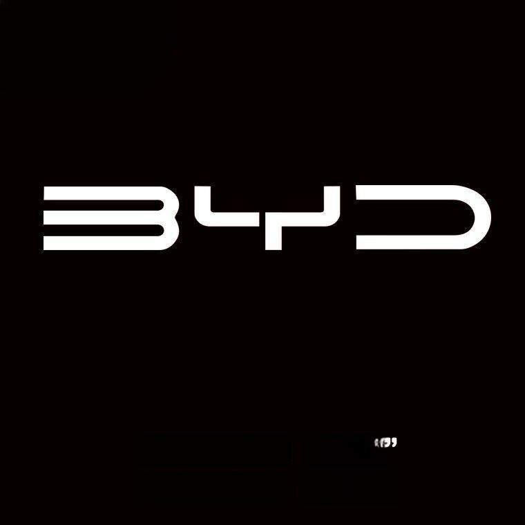 BYD priekšējā logotipa krāsas maiņas uzlīmes