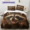 Set cu cuvertură și fețe de pernă cu model de desene animate Decorare casă Cadou de ziua de naștere (1 * husă de pilotă + 2 * fețe de pernă, fără miez)