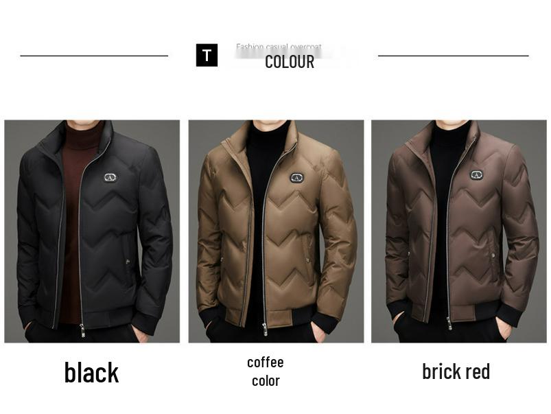 Pánská zimní péřová bunda se stojáčkem - Trendy, Univerzální, Ležérní krátká bílá kachní péřová bunda ve stylu pro táty