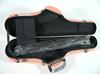 C.C. Shiny Case II Alto Saxophone Case CC2-AS-SPK Salmon Pink