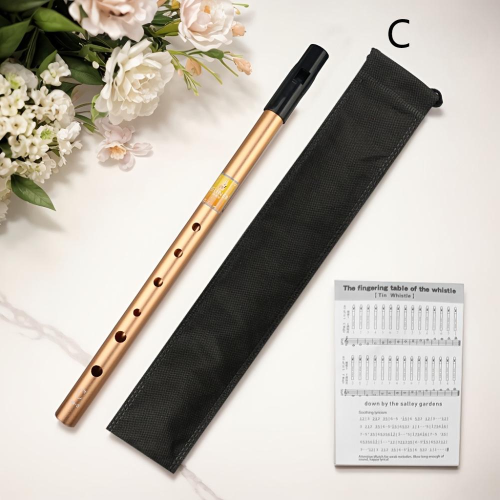 Irish Tin Whistle, C & D Key Optional, Recorder For Beginners & Professional Performance