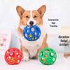 Jingzhou Interactive Dog Teething Squeaky Ball