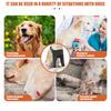 Genouillère pour patte de chien pour activité extérieure et récupération post-opératoire Support de coude en tissu polyester doux