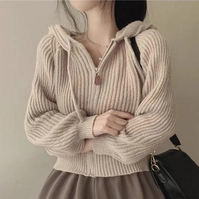 Herbst und Winter Damen Langarm Pullover Lockerer und Fauler Stil Lässige Oberbekleidung Frau Schicke Strickjacke Strickoberteil Mit Kapuze Pullover