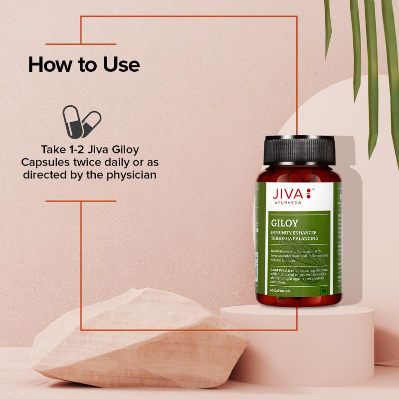 Jiva Giloy Herbal Capsules 60 Count X Pack of 4 | Natural Immunity Booster & Anti-Aging Supplement for Daily Wellness