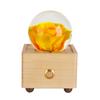 Hot Item Novelty Gifts 2025 Trends New Innovative Product Ideas Real Flower Light Bluetooth Speaker Holiday Festival Gift