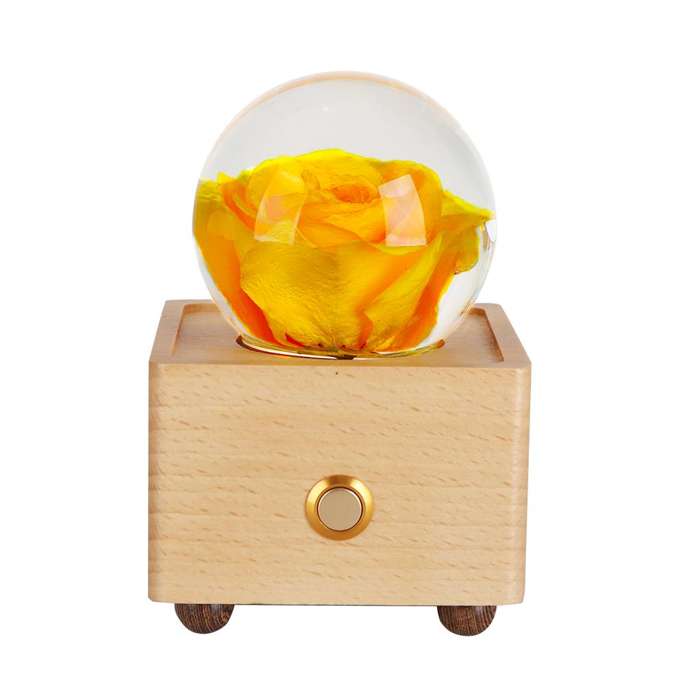 Hot Item Novelty Gifts 2025 Trends New Innovative Product Ideas Real Flower Light Bluetooth Speaker Holiday Festival Gift