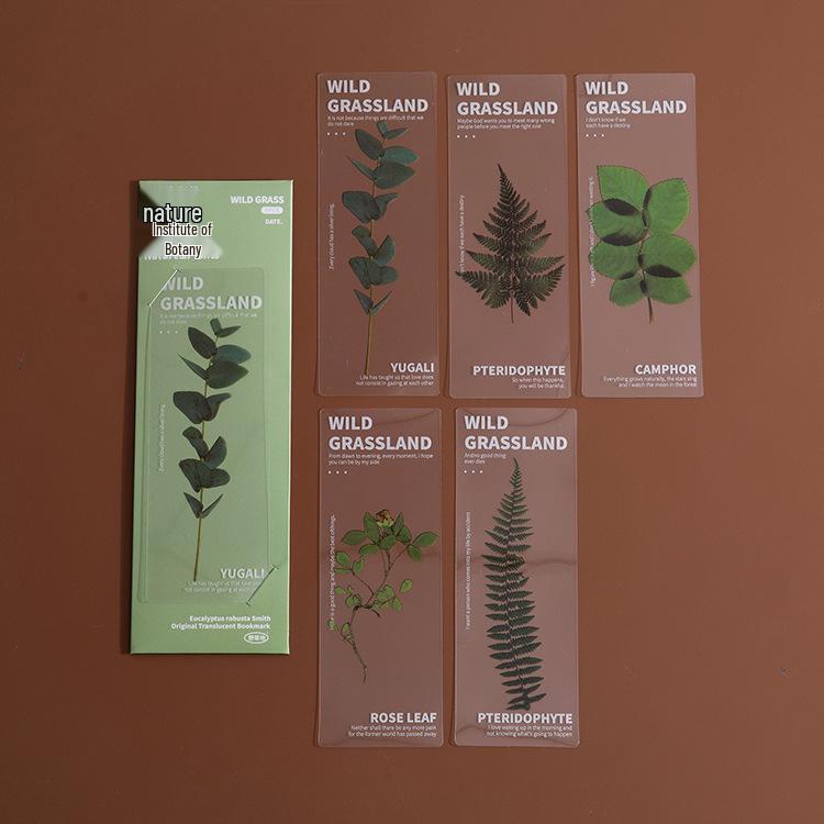Momo Dried Flower Bookmark Set: 6 Translucent PET Designs for Journals & Books