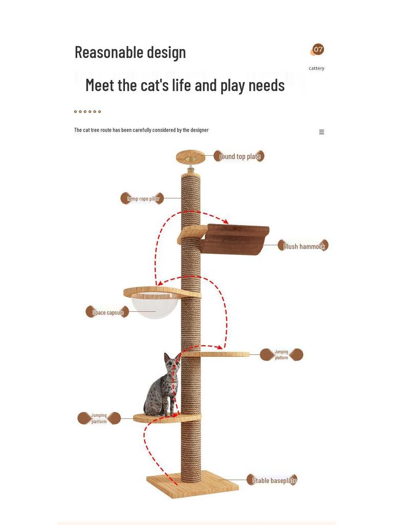 Boden-bis-Decke Katzenkratzbaum mit Raumkapsel & Kratzstamm, Massivholz, Vier Etagen, Katzenkletterspielzeug
