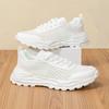 Fashion Spring and Summer Thin Hollow Breathable Mesh Casual Thick-soled Versatile Sports Dad Shoes