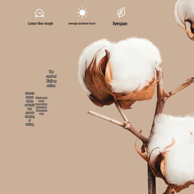 Hengyuanxiang Pure Soft Antibacterial Quilt