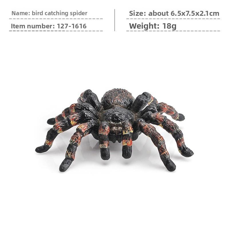 Jungle Rainforest Insect Butterfly Poison Spider Pvc Model Set With Realistic Wildlife Display For Nature Enthusiasts