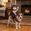 Adjustable Dog Riding Denim Clothing Novelty Cat Party Dressed Up Halloween Dog Clothes  Gift