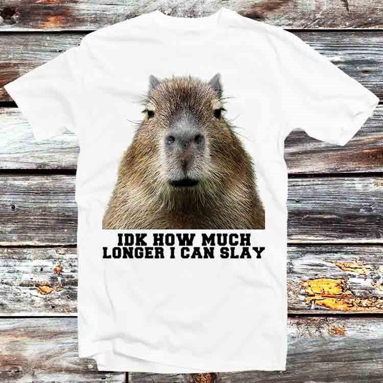 Idk How Much Longer I Can Slay Capybara Sarcastic Dank Meme T Shirt B798
