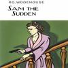 Sam the Sudden by P.G. Wodehouse Hardback Book 9781841591506