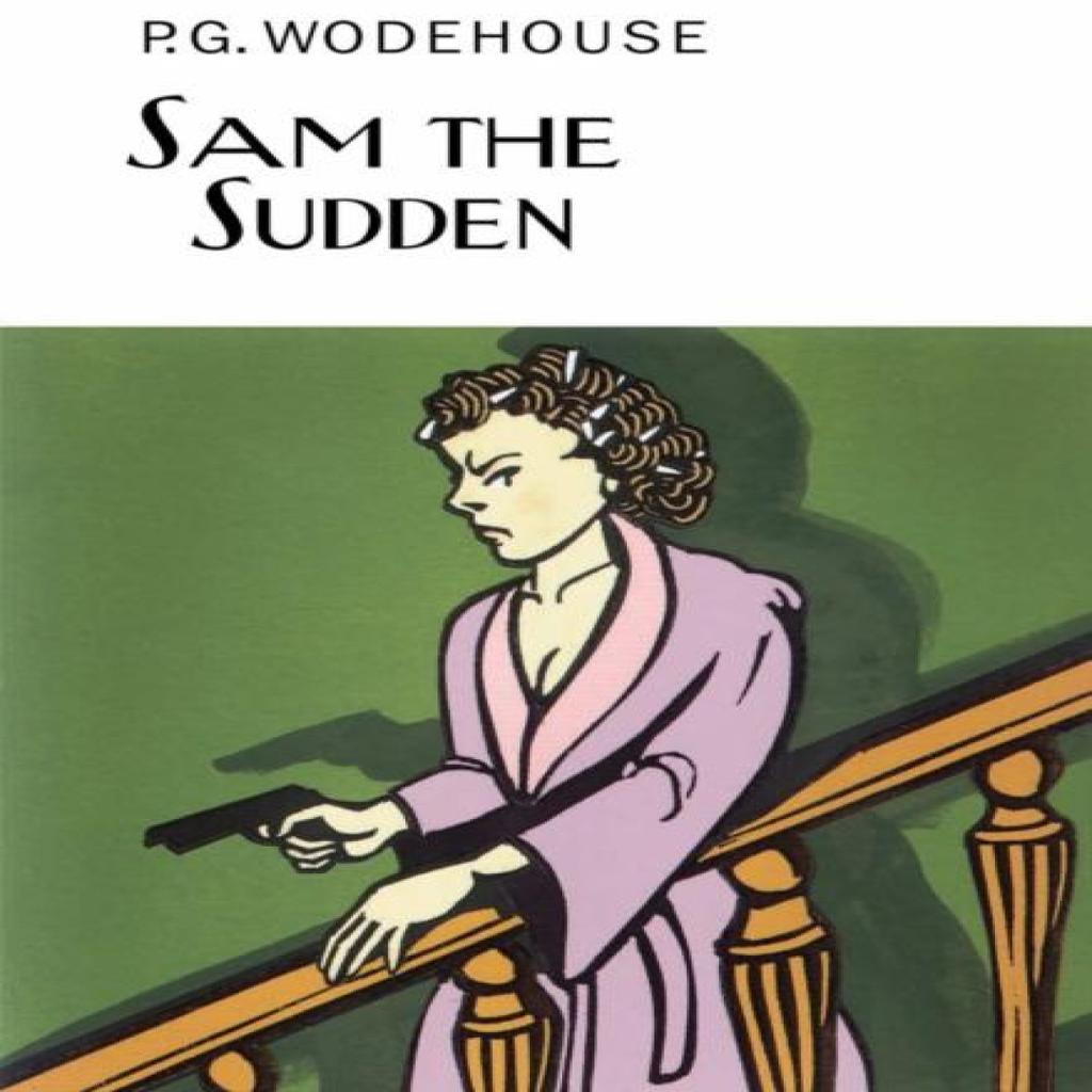 Sam the Sudden by P.G. Wodehouse Hardback Book 9781841591506