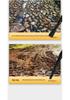 Telescopic Non-Slip Aluminum Alloy Hiking Poles for Seniors - Anti-Fall Walking Sticks