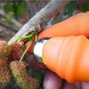 Farm Vegetable Fruit Picker Pickle Pepper Pickle Tip Picker Iron Nail Pick Garden Orchard Grape Picker