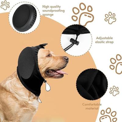 Bekleidung & Schuhe – Hundezubehör
